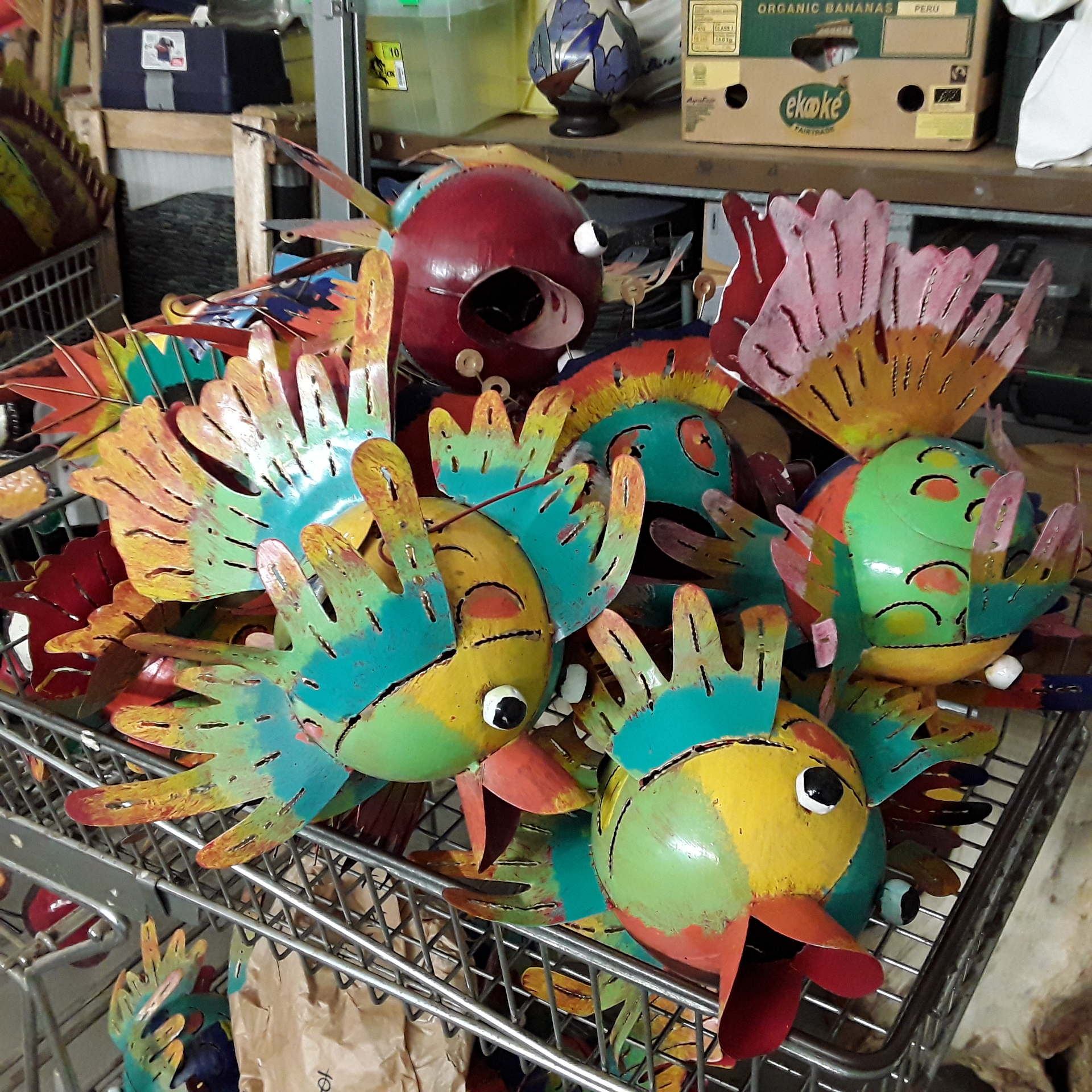 <p>Poisson coloré<br />15,00 € T.T.C<br /><a href="/Article/112608?type=depose" style="color:white;" target="_blank">Lien vers l&#39;article</a></p>