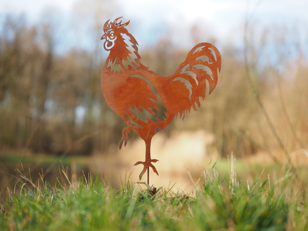 <p>Pique jardin coq poule<br />MD14115  MD 14116<br />19,00 € T.T.C<br /><a href="/Article/4527?type=neuf" style="color:white;" target="_blank">Lien vers l&#39;article</a></p>