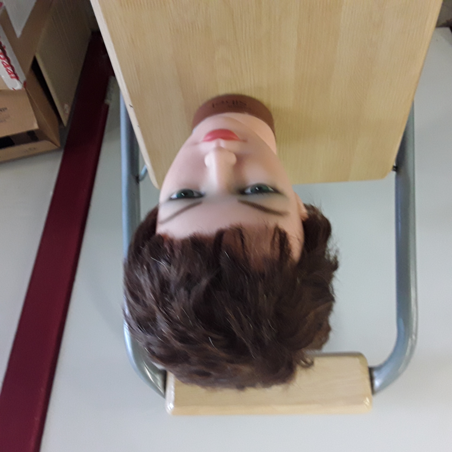 <p>Tête de coiffure <br />20,00 € T.T.C<br /><a href="/Article/122686?type=depose" style="color:white;" target="_blank">Lien vers l&#39;article</a></p>