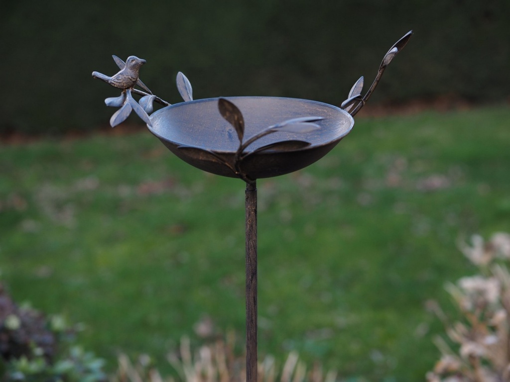 <p>Mangeoire oiseaux<br />19861<br />24,95 € T.T.C<br /><a href="/Article/4665?type=neuf" style="color:white;" target="_blank">Lien vers l'article</a></p>