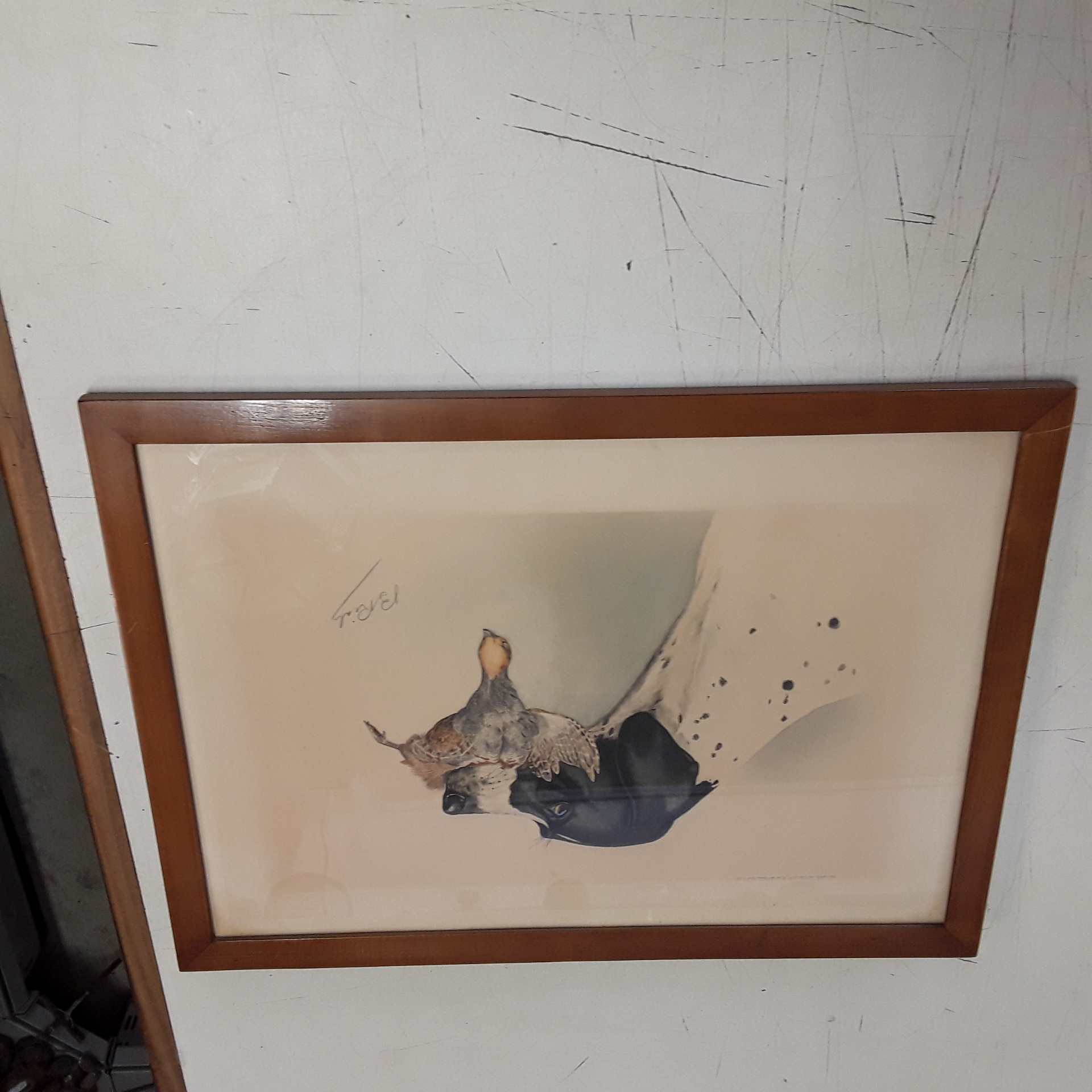 <p>Lithographie de chasse<br />40,00 € T.T.C<br /><a href="/Article/121919?type=depose" style="color:white;" target="_blank">Lien vers l&#39;article</a></p>