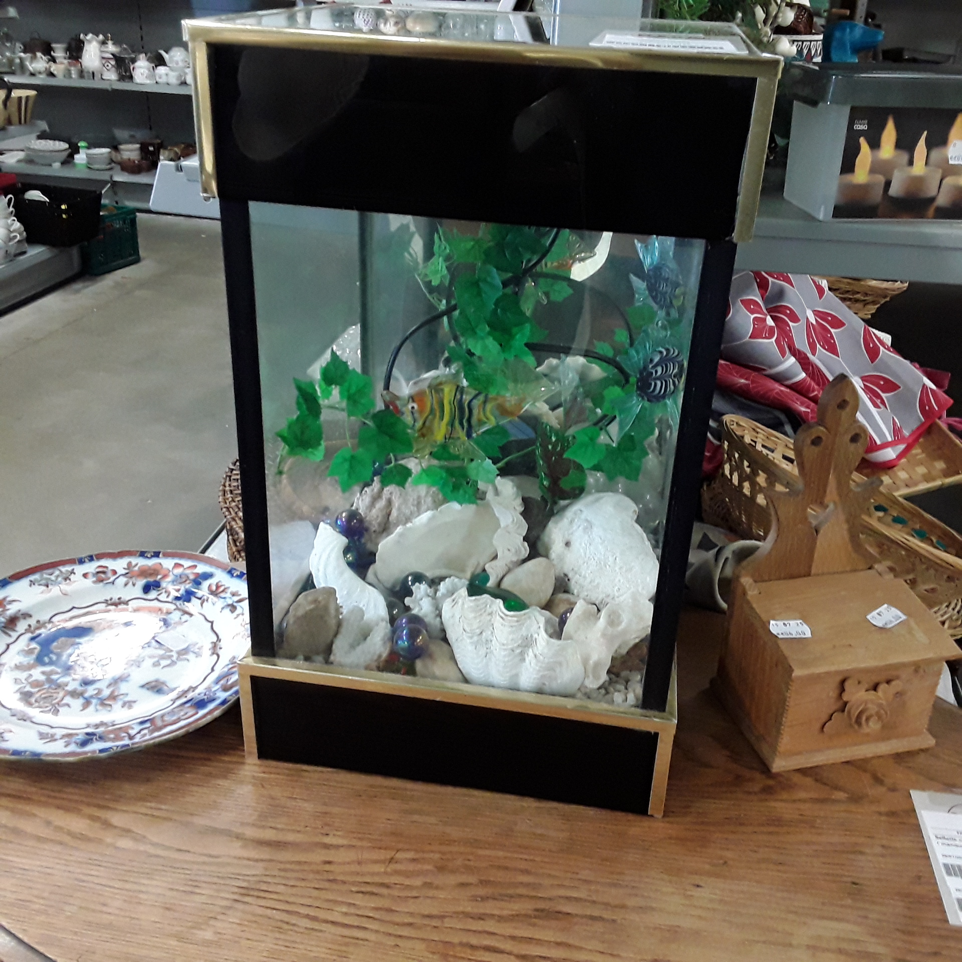 <p>Aquarium avec décos<br />30,00 € T.T.C<br /><a href="/Article/122318?type=depose" style="color:white;" target="_blank">Lien vers l&#39;article</a></p>