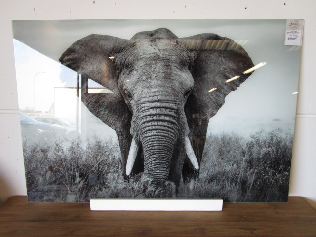 <p>Cadre verre design éléphant<br />80 x 120 Cm Ref 406014(S60814)<br />179,00 € T.T.C<br /><a href="/Article/2850?type=neuf" style="color:white;" target="_blank">Lien vers l&#39;article</a></p>